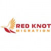 Red Knot Migration