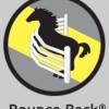 Bounce Back Horse Fencing