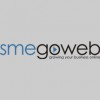 SMEgoweb