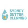 Sydney Gutter Cleaning