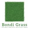 Bondi Grass