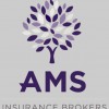 AMS Insurance Services