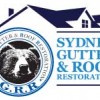 Sydney Gutter & Roof Restoration