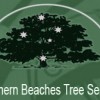 Northern Beaches Stump Grinding