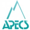 Apecs Investment Castings