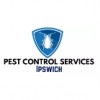 Pest Control Services Ipswich