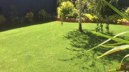 Artificial Grass