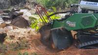 Stump Grinding Services