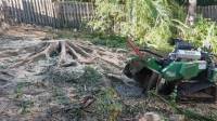 Large Stump Removal Gold Coast