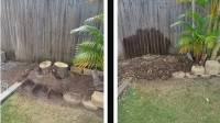 Tree Palm Stump Removal