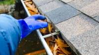 Gutter Cleaning