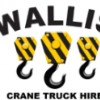 Wallis Crane Truck Hire